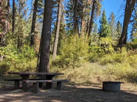 Crisp blue skies over the forest campsite with a picnic table and fire ring.