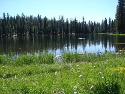 Juniper Lake Meadow