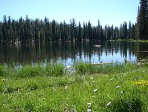 SUMMIT LAKE WITH MEADOW