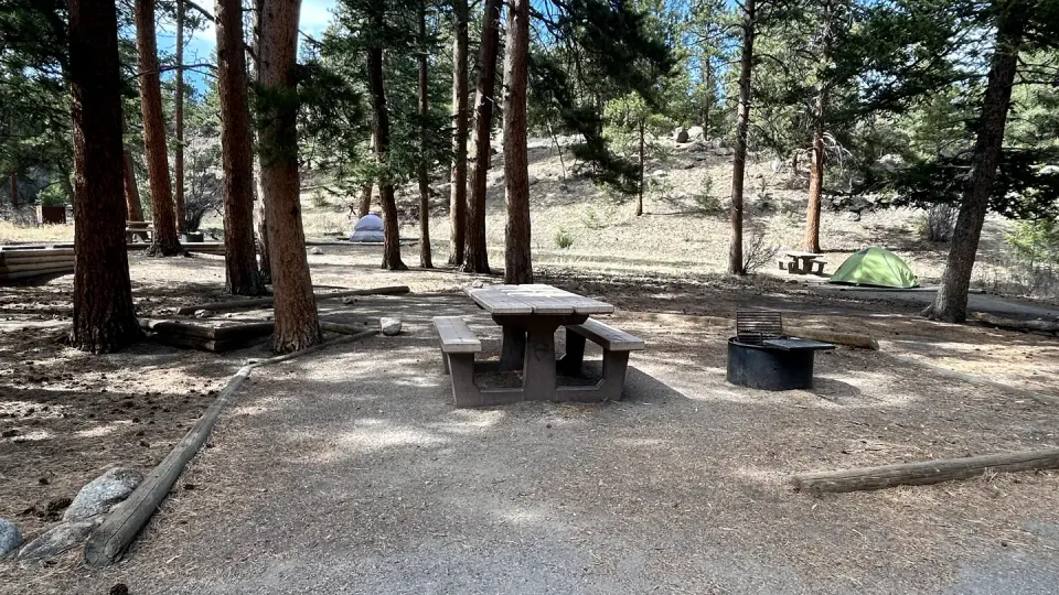 Tent site in Aspenglen Campground in summer