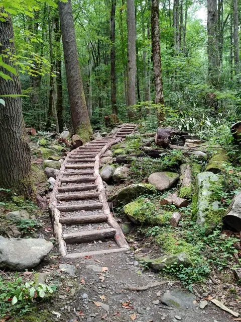 Major improvements to the nature trail