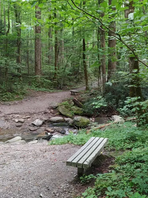 A quiet respite along the nature trail