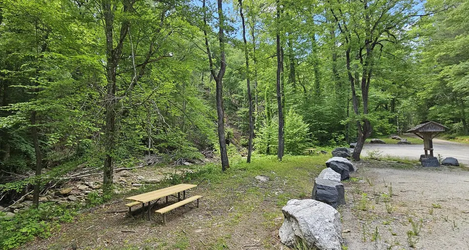 Curtis Creek Campground Picnic Area