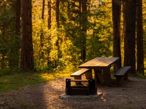 Cook Lake Campground