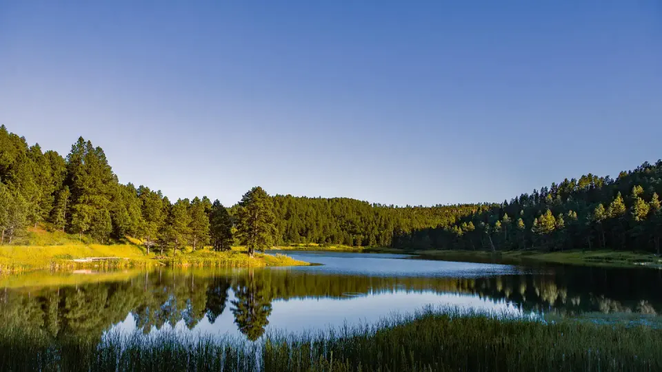 Cook Lake