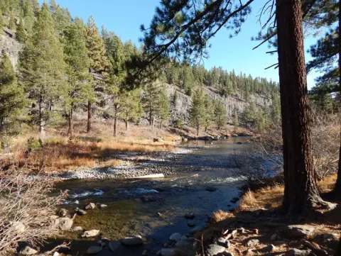 Goose Meadow Campground