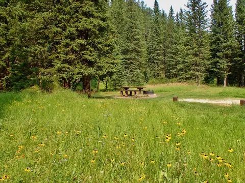 Ditch Creek Campground flowers