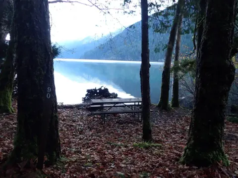 A walk-in site at Fairholme Campground - furnished with a wooden picnic table. The site is just a mere 20 or so feet from the shore of Lake Crescent.