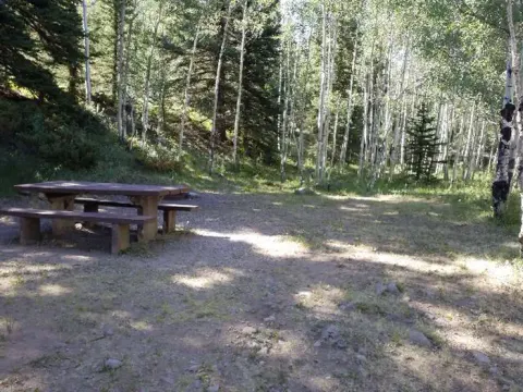 Rio Grande National Forest recreation area