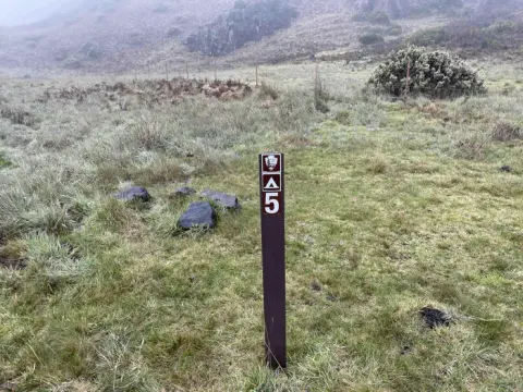 grassy field with tent stake