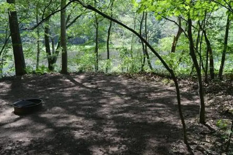Dirt camping area surrounded by trees