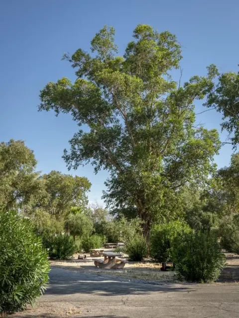 Lake Mead National Recreation Area recreation area