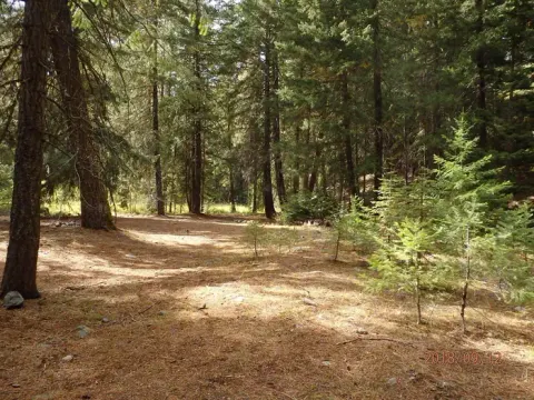 INDIAN FLAT GROUP SITE