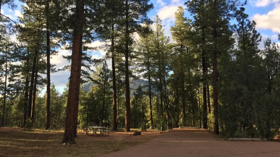 Tonto National Forest recreation area