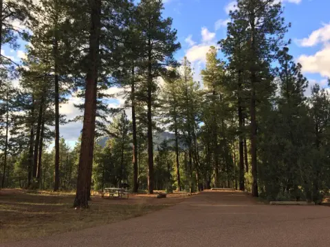 Tonto National Forest recreation area