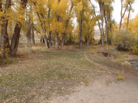 Tent site 2,