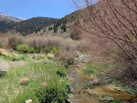 Humboldt-Toiyabe National Forest Headquarters recreation area