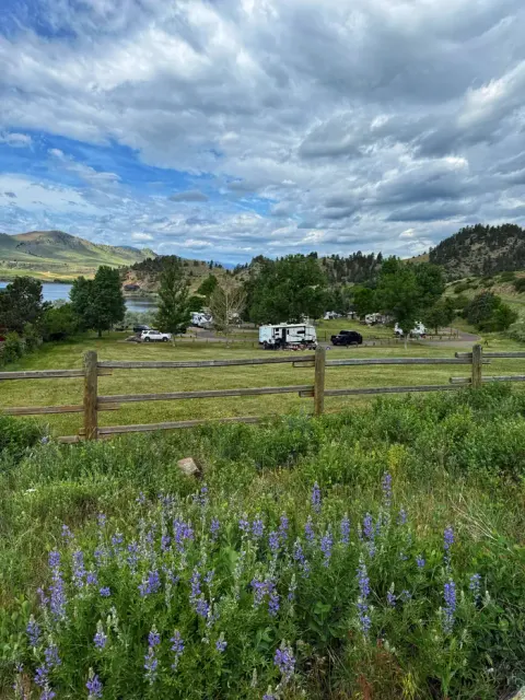 Silvery Lupine and view of upper campground loop sites 19-24