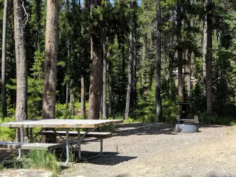 Forested campsite with picnic table and fire ring.