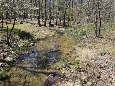 Otter Creek