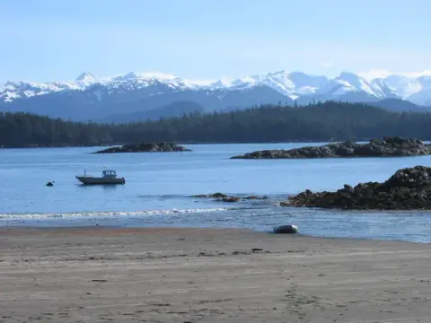 Brent's Beach Cabin