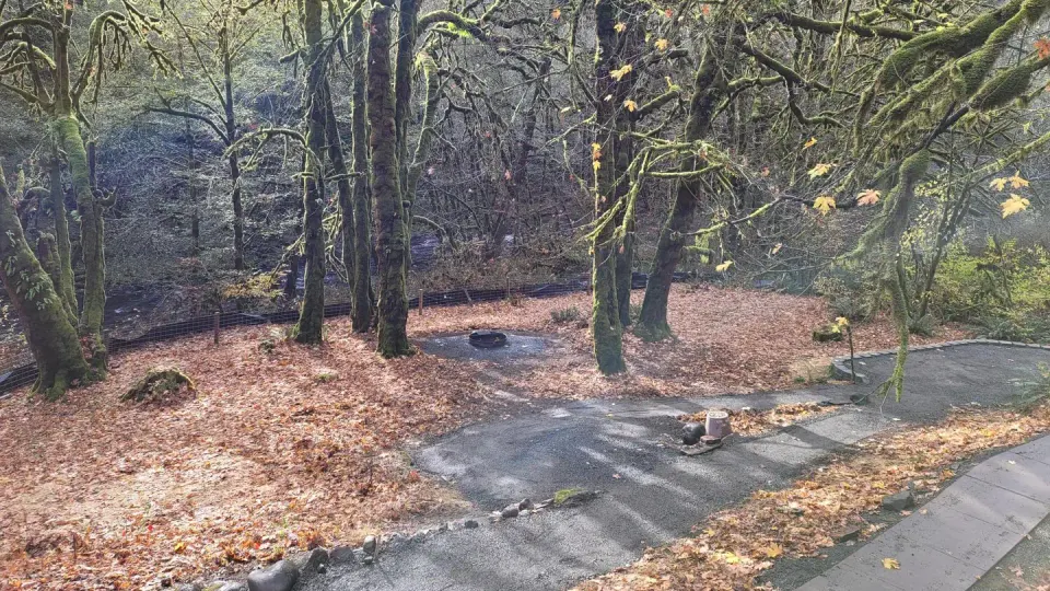 Elk Bend view