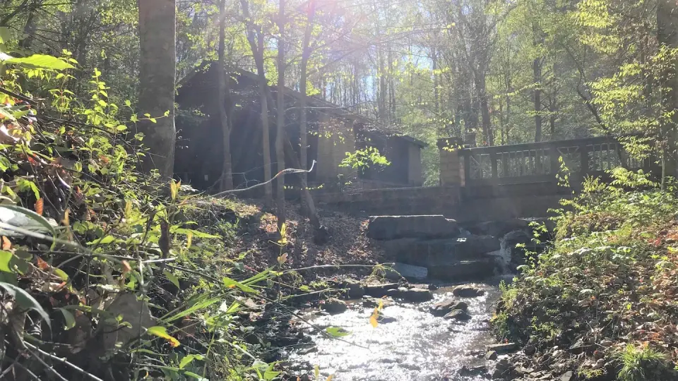 Burchfield Branch