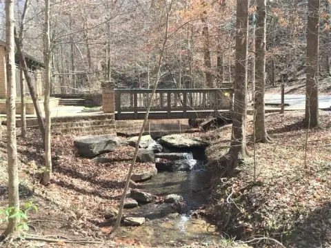 Burchfield Branch