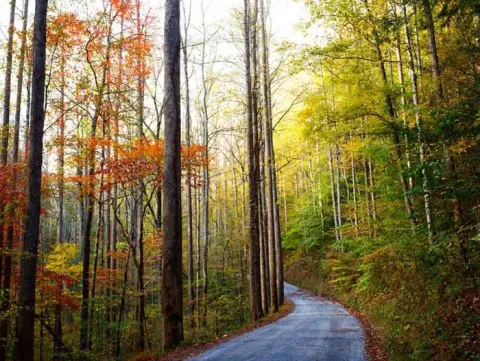 Big Creek Road