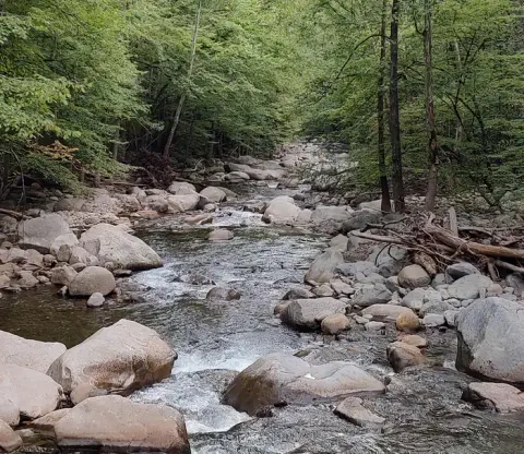 Big Creek
