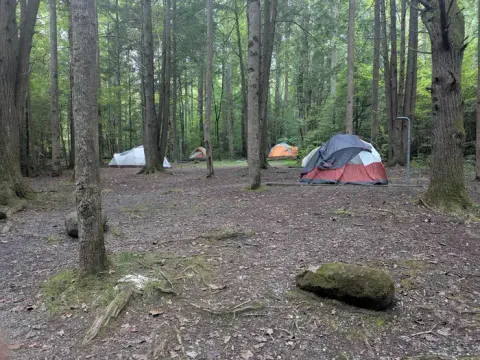Camping in Big Creek
