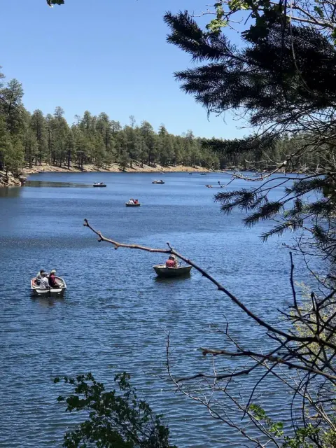 Apache-Sitgreaves National Forest recreation area