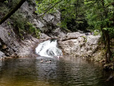 Dudley Falls