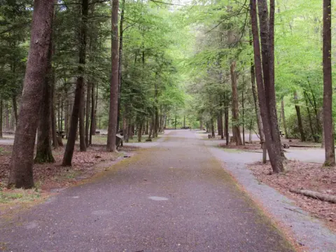 Campground Loop Road
