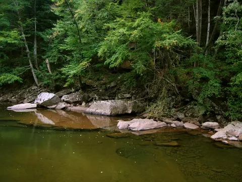 Monongahela National Forest recreation area