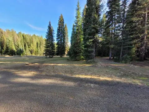 Fish Creek Group Site pic3