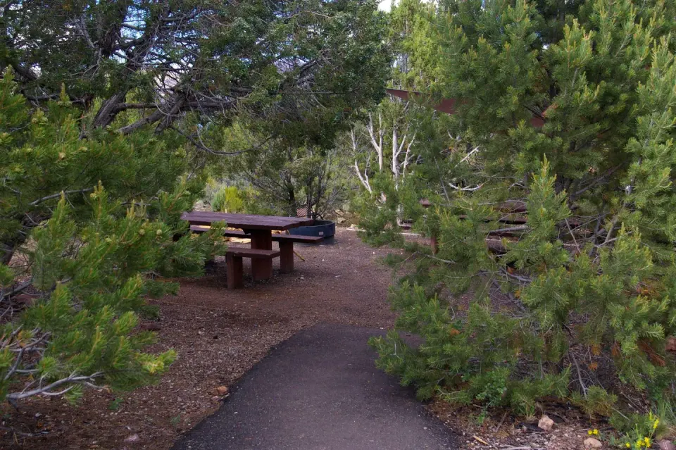 Ashley National Forest recreation area
