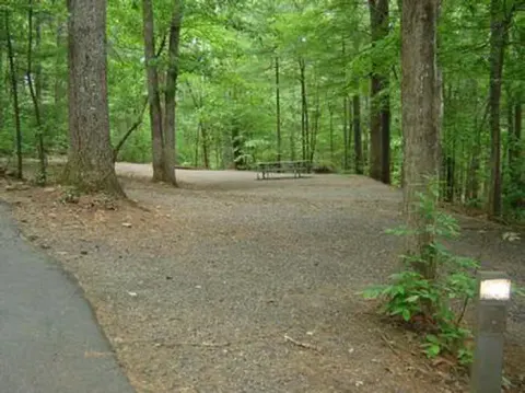 Horseshoe Point campsite with picnic table, surrounded by forest.