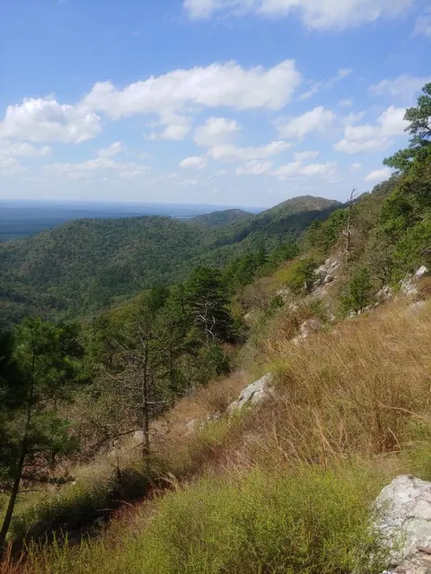 View from Tall Peak Trail