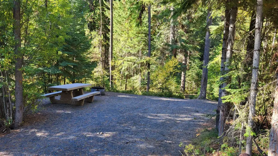 typical campsite at Dixie