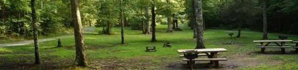 Cherokee National Forest recreation area