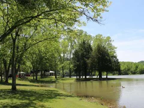 Salt Lick Creek Park
