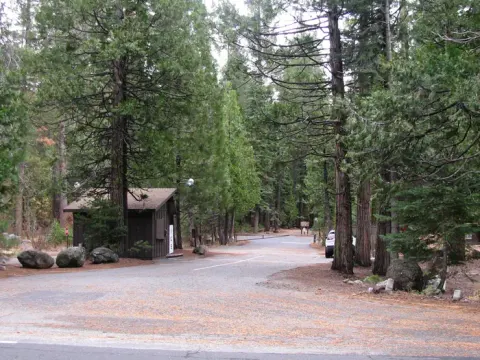 Stanislaus National Forest recreation area