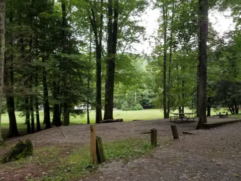 Scenic 1