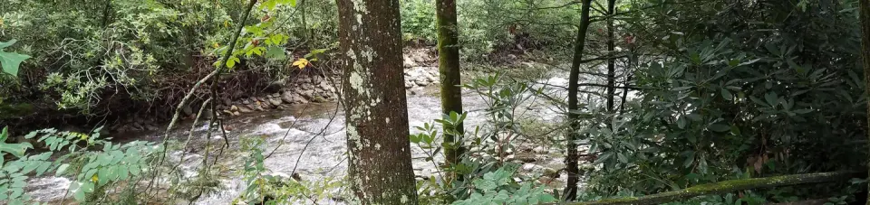River