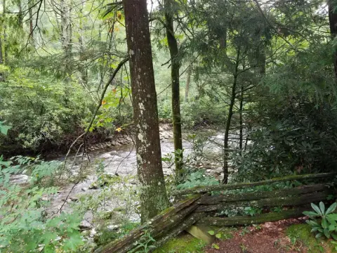 National Forests in North Carolina recreation area