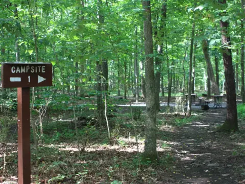 Campsite 1