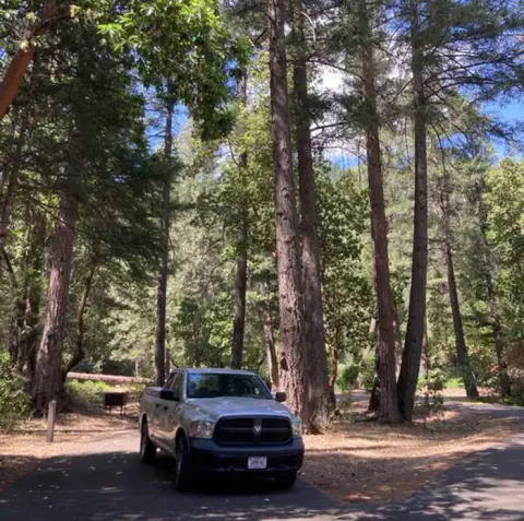 A truck parked in a campsite with tall trees around it