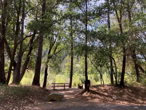 Shaded campsite with sunny river vegetation in the background