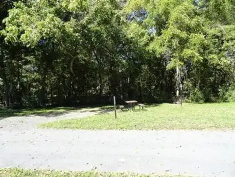 A campsite at Alley Spring with picnic table and shade trees